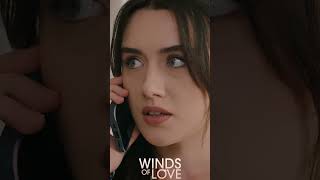 Başardın Zeynep ortak olduk artık  Winds of Love Episode 154 Promo shorts windsoflove [upl. by Irec]