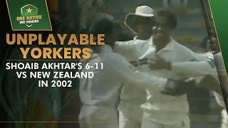 🔥 Unplayable Yorkers  Shoaib Akhtars 611 vs New Zealand in 2002  Rawalpindi Express [upl. by Wallas]