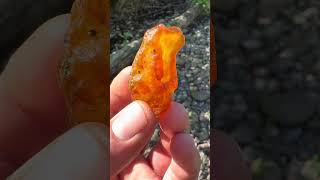 Nice carnelian with some botryoidal action carnelian agate rockhounding gemstone pnw crystals [upl. by Roselle]