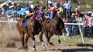 Carreras de Caballos en Cumpas 16 de Marzo 2019 [upl. by Fafa837]