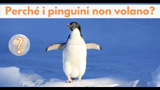 Perché i pinguini non volano [upl. by Ennaesor905]