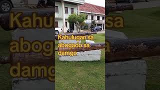 Kahulugan sa abogado sa damgo abogado hubadsaabogadosadamgo kahulugansaabogadosadamgo [upl. by Harolda819]