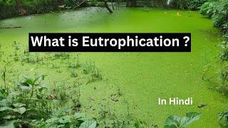 Eutrophication in hindi [upl. by Enahpets]