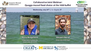 IMCHABs Webinar Quagga mussel food choice at the HAB buffet [upl. by Nauqat776]