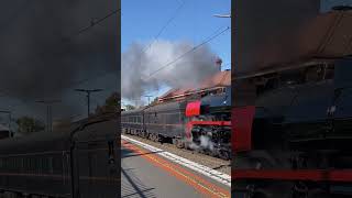 R761 Tender First Up Through Yarraville [upl. by Dafna]