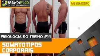 Somatotipos Corporais  Endomorfo Mesomorfo e Ectomorfo  Fisiologia do Treino 14 [upl. by Winna]