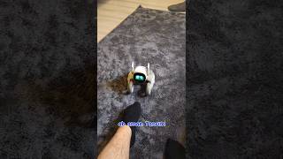 Robot köpek çoraplarımı kokladı sonra nemi oldu 🤣🤣 robot loona yapayzeka ai keşfet robotics [upl. by Llenna]