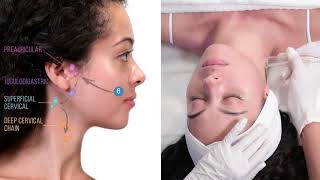 Hydrafacial Lymphatic Face Therapy [upl. by Gibbeon]