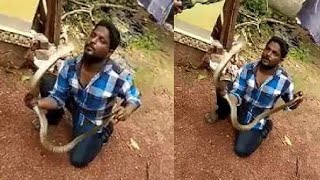 King cobra bites man face  viral videos [upl. by Lladnar]