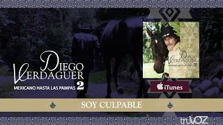 Diego Verdaguer  Soy Culpable Audio Oficial [upl. by Riti336]