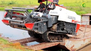 Nice Activities Safety Operator Harvester Kubota DC70Plus Working Skills Machinery Cropping Rice [upl. by Trixie]