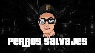 Gonza BR  PERROS SALVAJES Turreo Edit [upl. by Halludba]