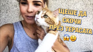 ЩЕШЕ ДА СКОЧИ ПРЕЗ ТЕРАСАТА 😱😫 🎥 [upl. by Yalahs]