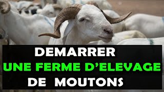 Voici 9 Étapes pour commencer une ferme délevage de moutons à succès en Afrique [upl. by Gnoud]