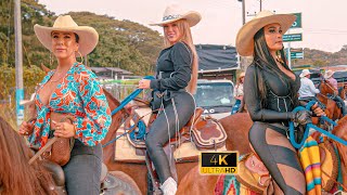 Gran Cabalgata en las Fiestas de Zarzal  Valle 😍 COLOMBIA 2024 [upl. by Enitsirt]