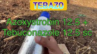 Tebazo fungicide full information and live result explain with specificationsumitomo [upl. by Nnair]