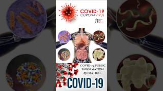 COVID19 Public Information Animation medical animation 3d short [upl. by Barhos725]