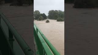 Hochwasser StPölten Süd  Traisenbrücke 150924 Lage 14 Uhr [upl. by Lledrev266]