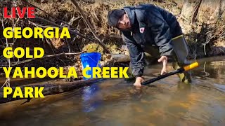 Dahlonega GOLD Panning Livestream 10 [upl. by Floss]