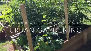 Building a Trellis with Wire fencing Urban Gardening  Magnolia Street Garden [upl. by Terti]