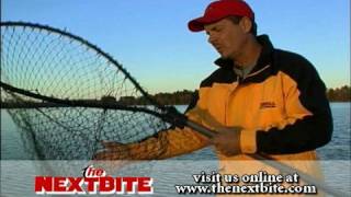 Good Walleye Landing Nets  The Next Bite  Site Bites  Season 2 [upl. by Bathsheba]