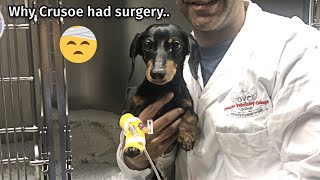 Why Crusoe had surgery [upl. by Eirrak]