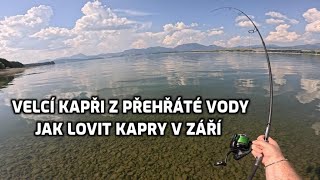 Jak ulovit kapry v září během teplého počasí Zářijový lov kaprů Lov kapra na boilies [upl. by Ynnam]