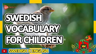 Learn Swedish Part 1 Swedish Vocabulary For Children  Golearn [upl. by Riamo]