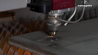 Salvagnini laser cutting L3 fiber laser on 20mm stainless steel [upl. by Dorise]