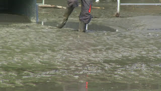 Reportage  Inondation du Sanctuaire de Lourdes se souvenir du 18 juin 2013 [upl. by Gerrie]