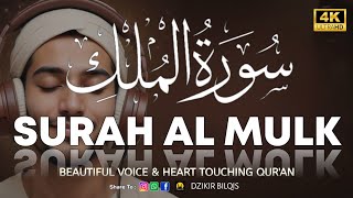 Surah Al Mulk سورة الملك  This SOFT Voice Will TOUCH Your HEART إن شاء الله  Voice Alaa Aqel [upl. by Keheley]