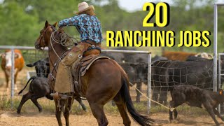 20 Jobs You Can Get On A Ranch [upl. by Eixirt4]