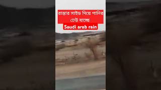 সৌদির বৃষ্টিতে সব ভাসিয়ে নিচ্ছে। Saudi arab rain।Habibiforyou shorts habibi trending viralvideo [upl. by Selegna]