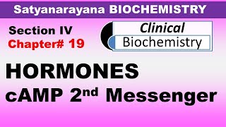 Chp19 Satyanarayana Biochemistry  HORMONES  cAMP Second Messenger System  Dr Asif Lectures [upl. by Guild]