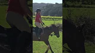 Mini show jumping course not slow mo [upl. by Myriam709]