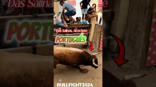 Los toros más fuertes de Portugal  Alcochete 2024 toros bullfight2024 [upl. by Zehc]