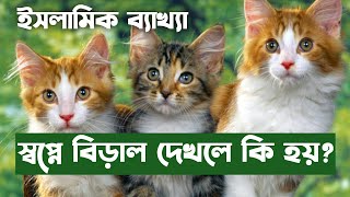 স্বপ্নে বিড়াল দেখলে কি হয়  dream meaning about the cat  shopne biral dekhle ki hoy [upl. by Peih]