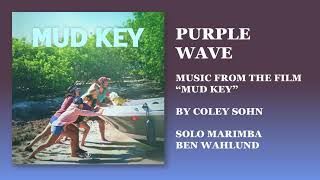 Music from the film quotMud Keyquot  Purple Wave [upl. by Madson]