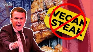 France BANS Meat Labels on Vegetarian Products  Viva Podcast Minisode Ep32 [upl. by Liahus]