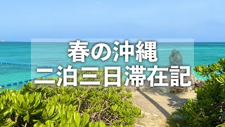 【沖縄旅行】春の沖縄二泊三日滞在記 【ザ・ムーンビーチ ミュージアムリゾート・オクマプライベートビーチ＆リゾートに宿泊！ナゴパイナップルパーク・幸ちゃんそば登場】 [upl. by Linnell]