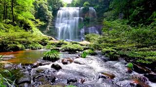 Waterfall flowing over rocks in forest 4k Relaxing flowing water White Noise for Sleep Meditation [upl. by Ysak794]