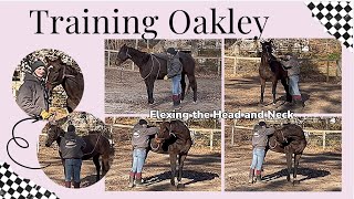 Training OTTB Oakley Day 18 Fundamentals Flexing the Head and Neck [upl. by Doowron728]