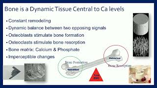 Understanding Physical Activity and Bone Mineral Density [upl. by Janessa]