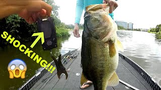 Catching the BIGGEST BASS EVER on Film New PB [upl. by Adnorrahs266]