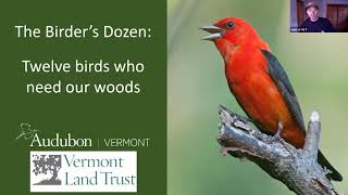 The Birders Dozen Twelve birds who need Vermont woods [upl. by Nahtannhoj]