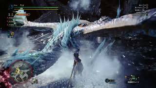 28 mhw iceborne ps4 [upl. by Rhetta]