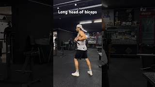 How to do long amp short head of biceps🔥 fitness bodybuilding gymexercises gymworkout shorts [upl. by Ybeloc]