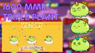 1600 MMR TRIPLE POISON PLANT GRIND  S20  BMT AXIE PH [upl. by Slorac]