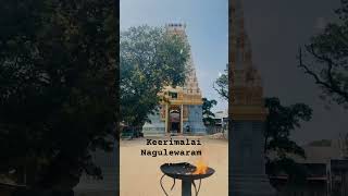 tamil sivan pakthan keerimalai naguleswaram vibe [upl. by Abdulla]