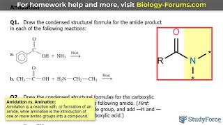 Amidation Reactions versus Amination [upl. by Cly]